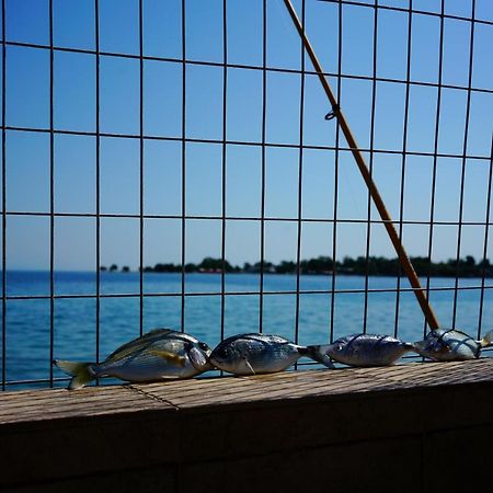 Ian'S Beach House Βίλα Αίγιο Εξωτερικό φωτογραφία